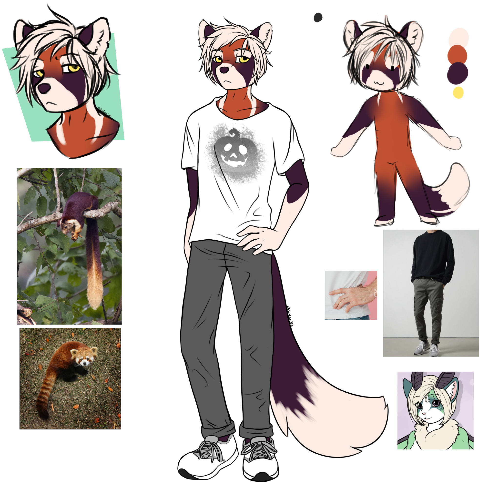 Artemy's fullbody art but surrounded with all the references I used. Giant squirrels and red pandas influenced his markings, and the reddish orange compliment's Remix's design well. I really enjoyed designing his shirt, it's something I'd probably wear too.
