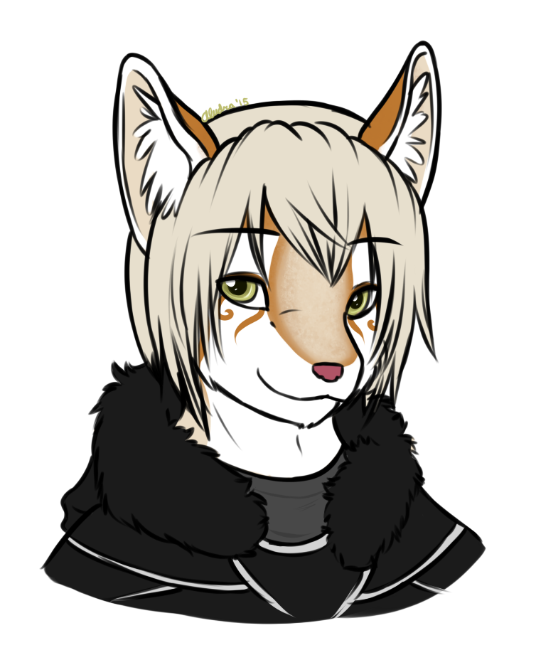 Cipher's first design which I still adore to pieces. I love his pumpkiny powder markings, and the rough outline, and his cute little smile. This image definitely set the standard for any future art of his.
