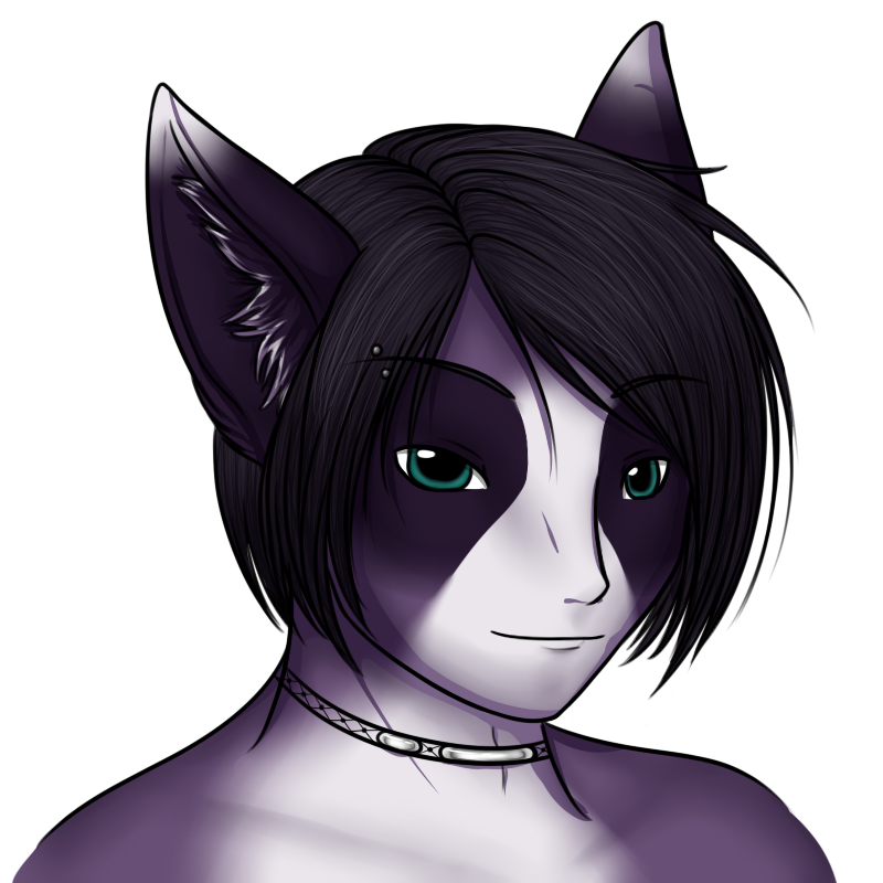 A headshot of Fuse. This was during the era where I didn't know if I should draw anthros or humans. His mannerisms were human, but if I drew him as human, then I didn't feel like I could keep his markings and coloration, which were one of the most interesting parts about designing characters for me.