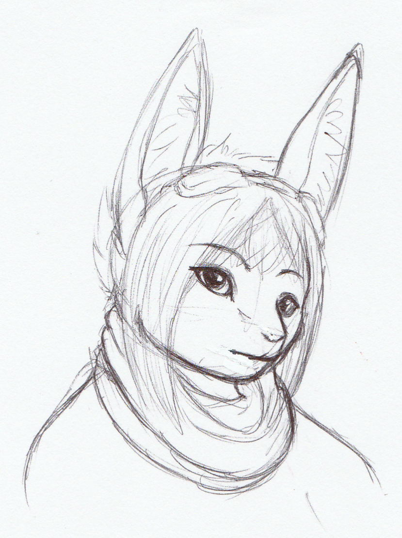 A quick ballpoint pen sketch I did of Kite one day.