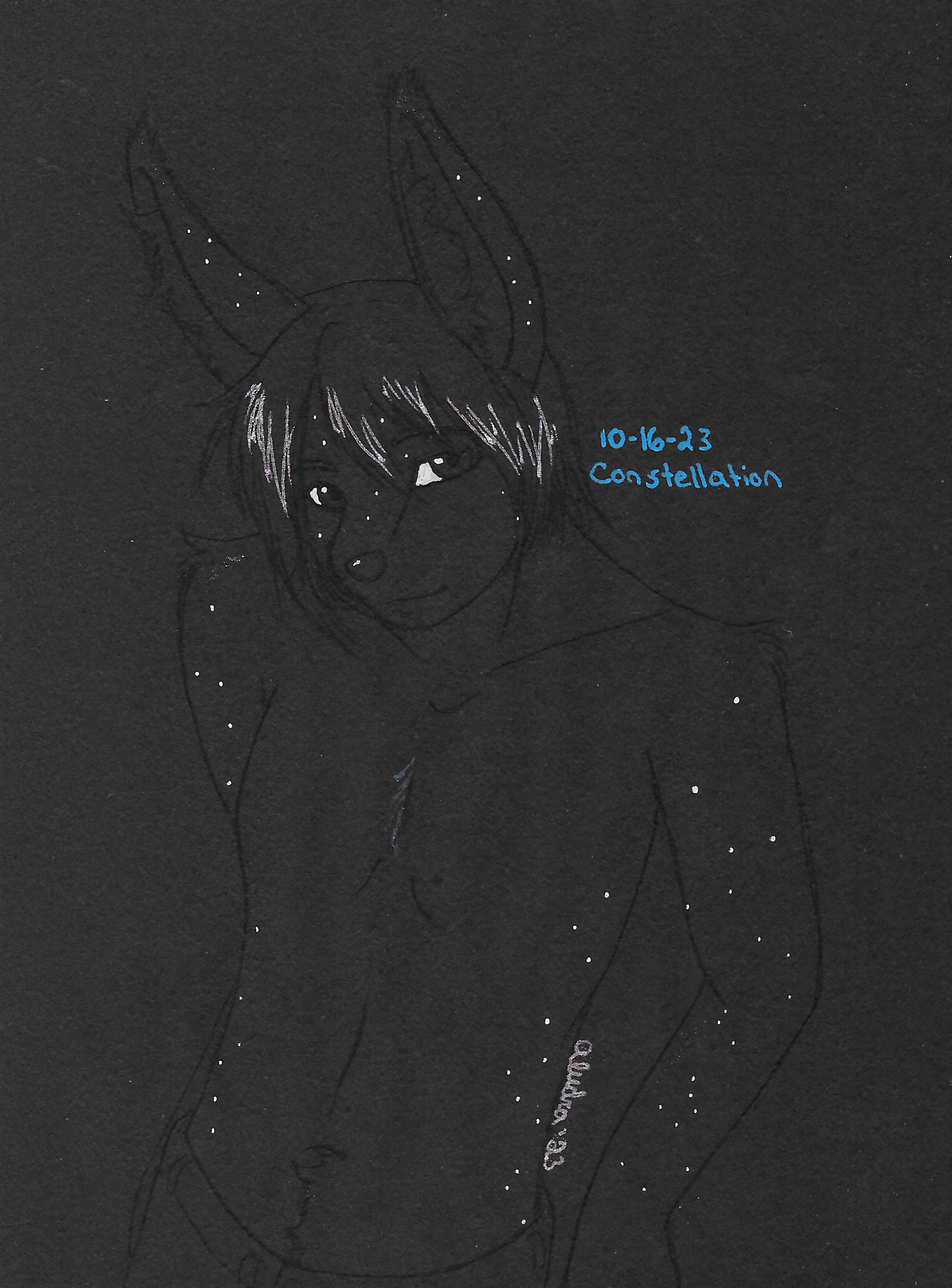 OC-tober art of Kou, with the prompt Constellation. With Kou's space theme and his starry pelt, I had to draw him for this prompt, on some black paper with his spots showing up as glowing stars.