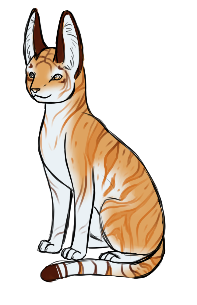 Using a self made serval base, I managed to form a satisfying color theme based on a golden tiger for Risque.