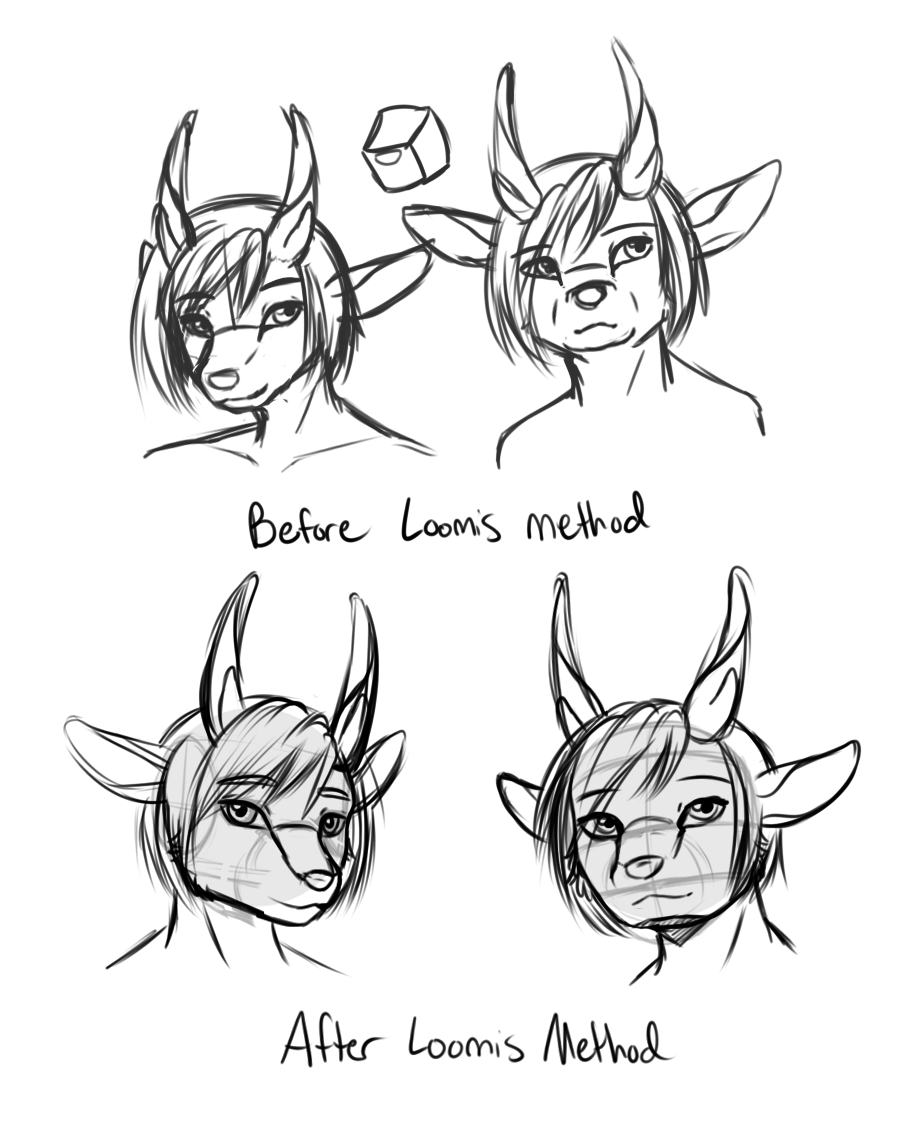 Some attempts at using the Loomis method, but with Yukon as my test guinea pig.